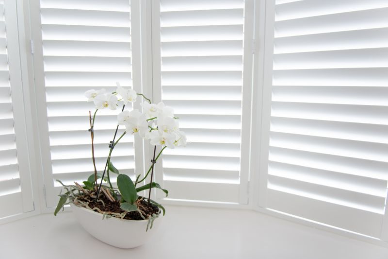 Window Shutters Replacement in Olathe, KS